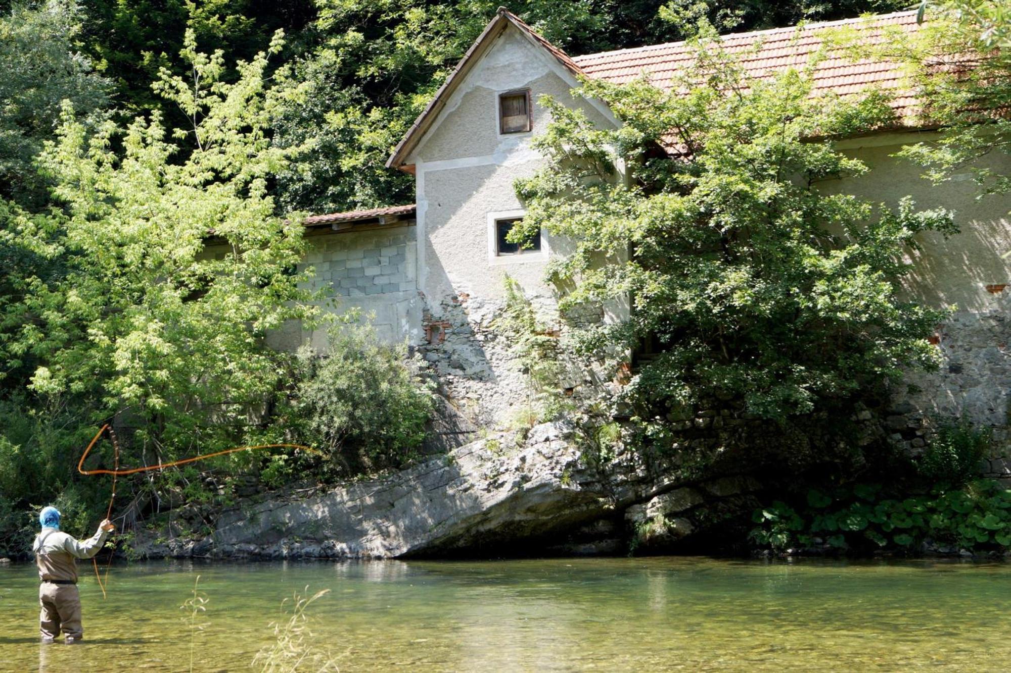 House Na Meji With Sauna - Happy Rentals Pivka Exterior foto